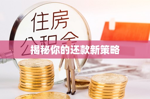 盐津揭秘你的还款新策略