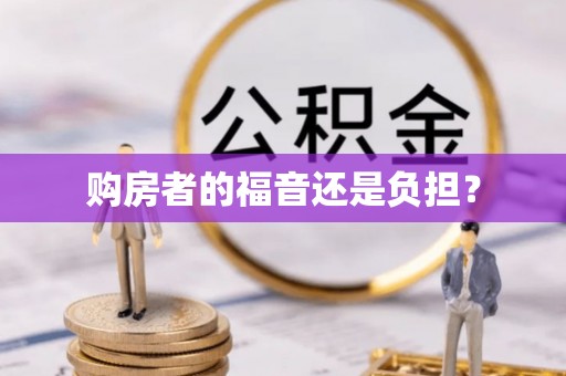 盐津购房者的福音还是负担？