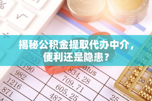 盐津揭秘公积金提取代办中介，便利还是隐患？