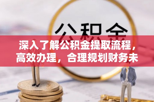 盐津深入了解公积金提取流程，高效办理，合理规划财务未来