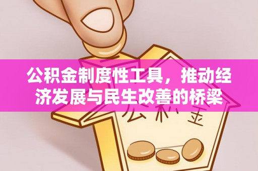 盐津公积金制度性工具，推动经济发展与民生改善的桥梁