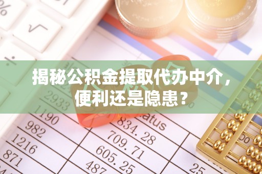 盐津揭秘公积金提取代办中介，便利还是隐患？