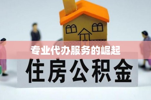 盐津专业代办服务的崛起