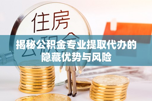 盐津揭秘公积金专业提取代办的隐藏优势与风险