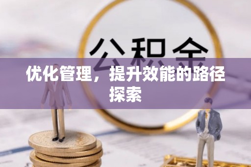 盐津优化管理，提升效能的路径探索
