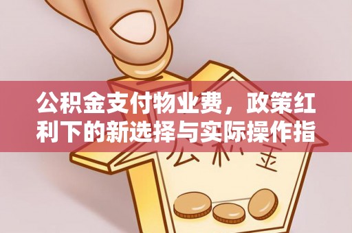 盐津公积金支付物业费，政策红利下的新选择与实际操作指南