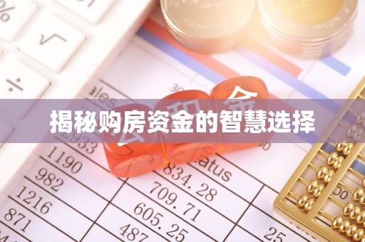 盐津揭秘购房资金的智慧选择