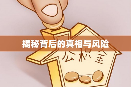 盐津揭秘背后的真相与风险