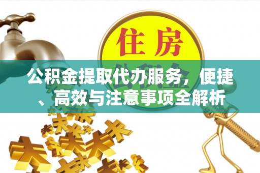 盐津公积金提取代办服务，便捷、高效与注意事项全解析