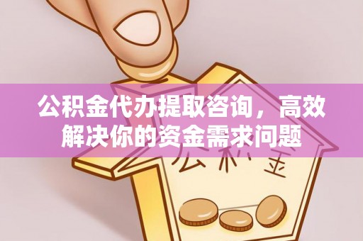 盐津公积金代办提取咨询，高效解决你的资金需求问题