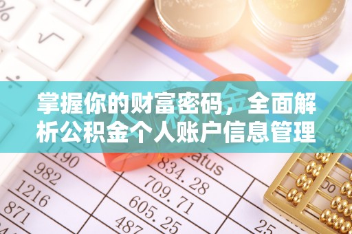 盐津掌握你的财富密码，全面解析公积金个人账户信息管理