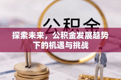 盐津探索未来，公积金发展趋势下的机遇与挑战