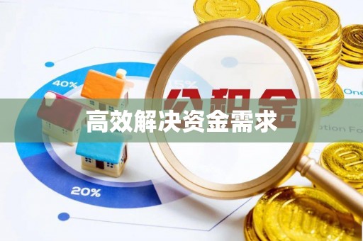 盐津高效解决资金需求