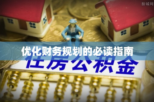 盐津优化财务规划的必读指南