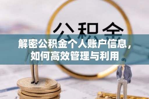 盐津解密公积金个人账户信息，如何高效管理与利用