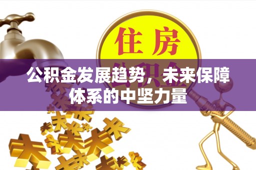 盐津公积金发展趋势，未来保障体系的中坚力量