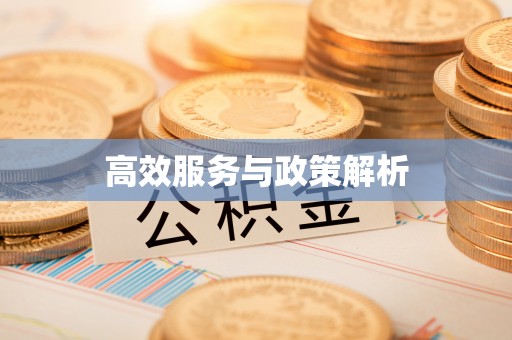 盐津高效服务与政策解析