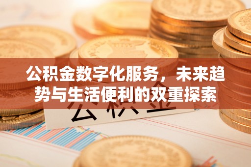 盐津公积金数字化服务，未来趋势与生活便利的双重探索