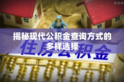 盐津揭秘现代公积金查询方式的多样选择