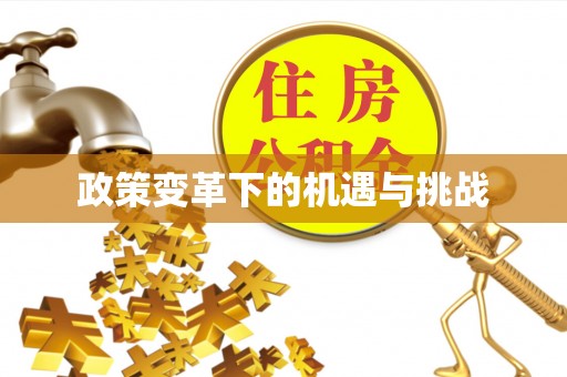 盐津政策变革下的机遇与挑战