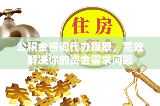 盐津公积金咨询代办提取，高效解决你的资金需求问题
