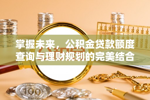 盐津掌握未来，公积金贷款额度查询与理财规划的完美结合