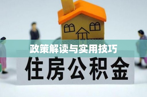 盐津政策解读与实用技巧