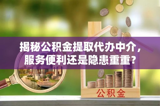盐津揭秘公积金提取代办中介，服务便利还是隐患重重？
