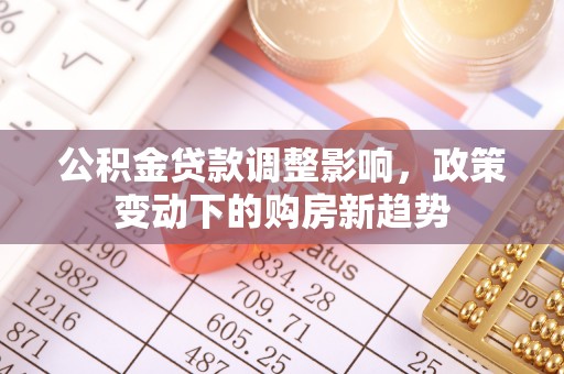 盐津公积金贷款调整影响，政策变动下的购房新趋势