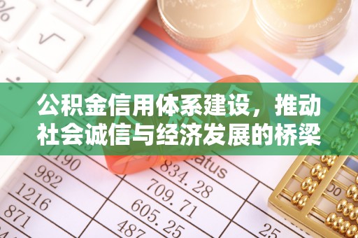 盐津公积金信用体系建设，推动社会诚信与经济发展的桥梁