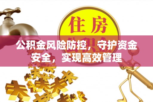 盐津公积金风险防控，守护资金安全，实现高效管理