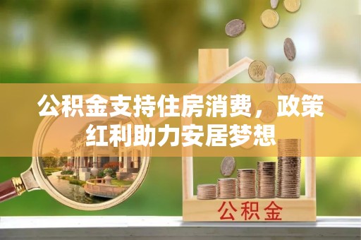 盐津公积金支持住房消费，政策红利助力安居梦想