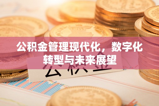 盐津公积金管理现代化，数字化转型与未来展望