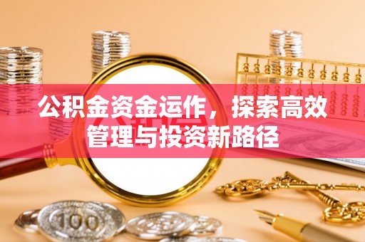 盐津公积金资金运作，探索高效管理与投资新路径