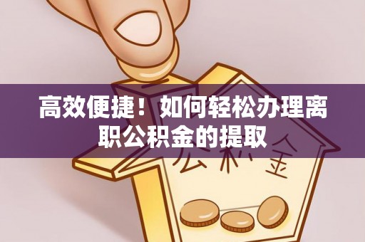 盐津高效便捷！如何轻松办理离职公积金的提取