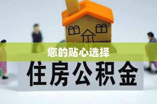 盐津您的贴心选择
