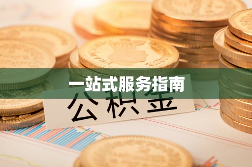 盐津一站式服务指南