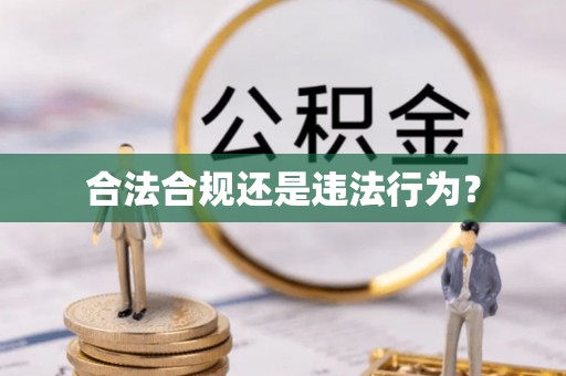 盐津合法合规还是违法行为？