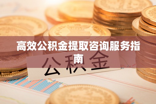 盐津高效公积金提取咨询服务指南
