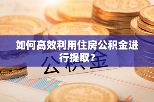 盐津如何高效利用住房公积金进行提取？