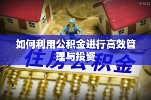 盐津如何利用公积金进行高效管理与投资