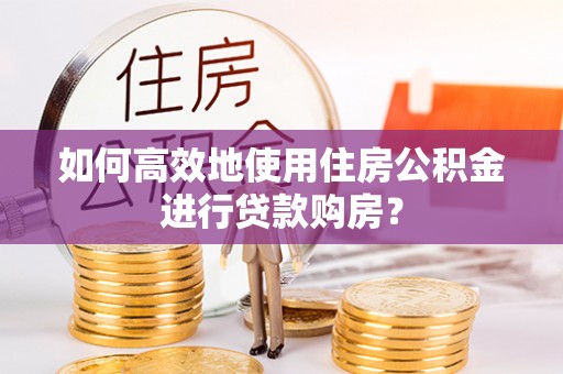 盐津如何高效地使用住房公积金进行贷款购房？