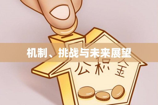 盐津机制、挑战与未来展望