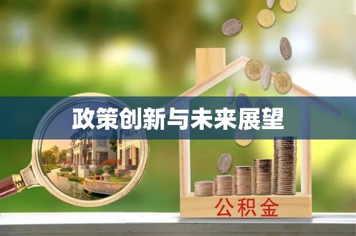 盐津政策创新与未来展望