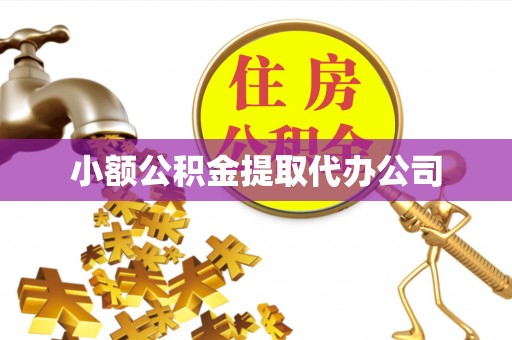 盐津小额公积金提取代办公司