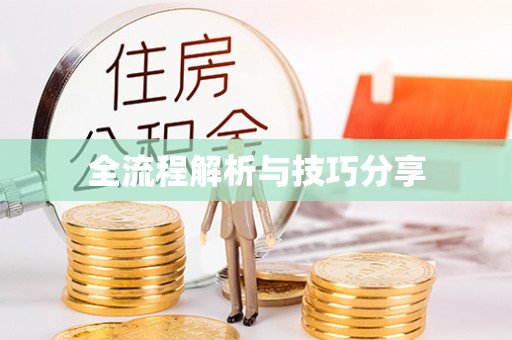 盐津全流程解析与技巧分享