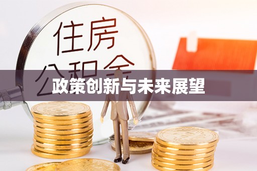 盐津政策创新与未来展望